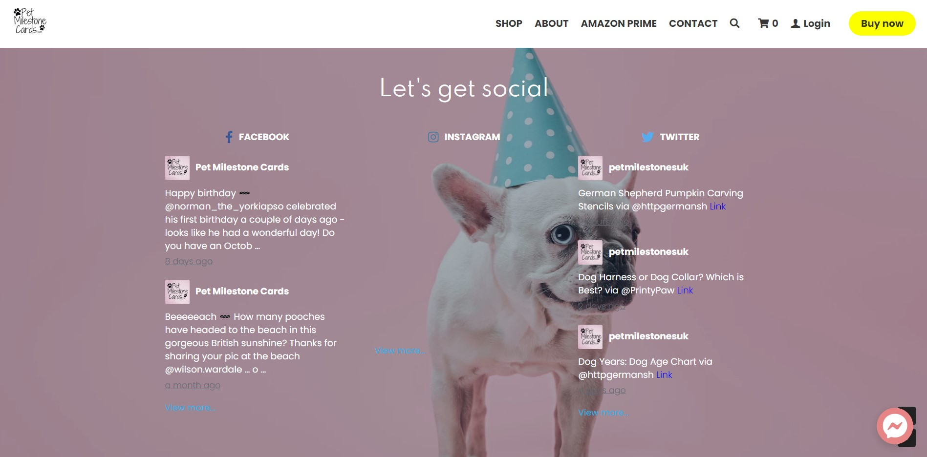 Pet Milestone Cards Social Feed Pet Milestone Cards Social Feed